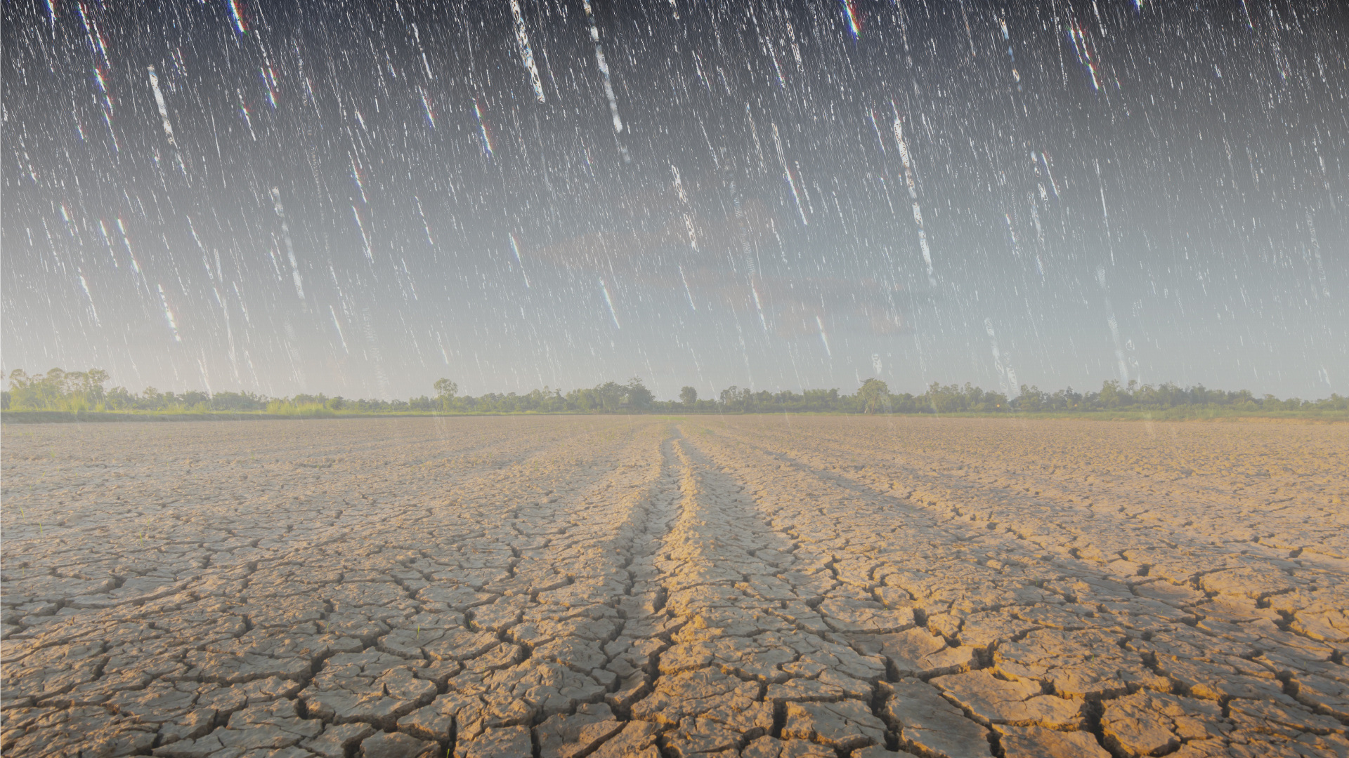 field in drought with rain falling