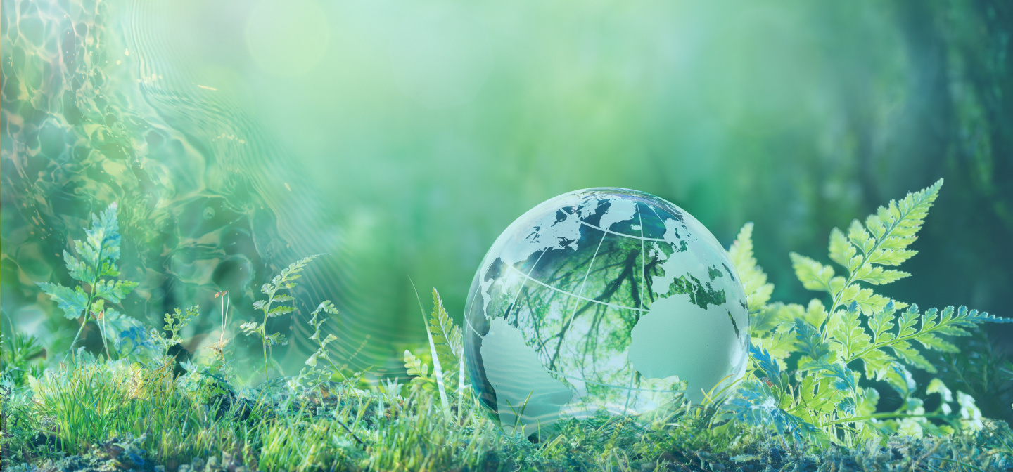 eco-transformation-website-banner (1)